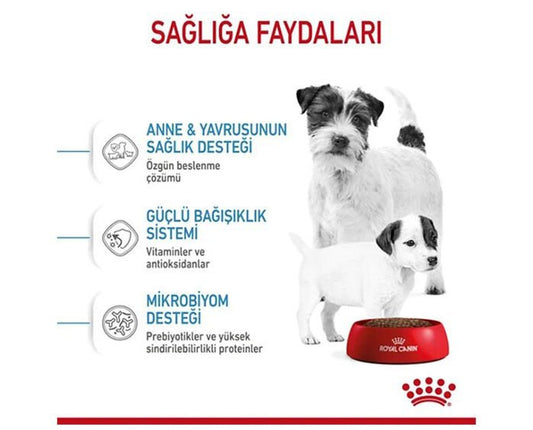 Royal Canin Mini Starter Anne ve Yavru Köpek Maması 4 Kg