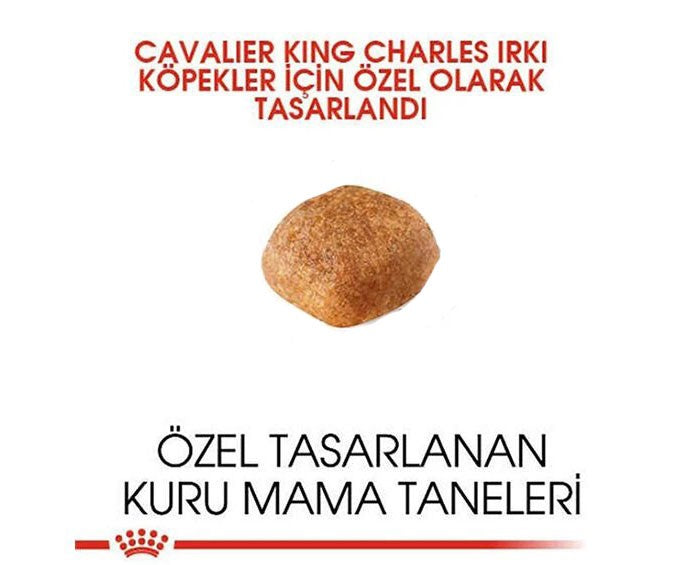 Royal Canin Cavalier King Charles Yetişkin Köpek Maması 1.5 Kg
