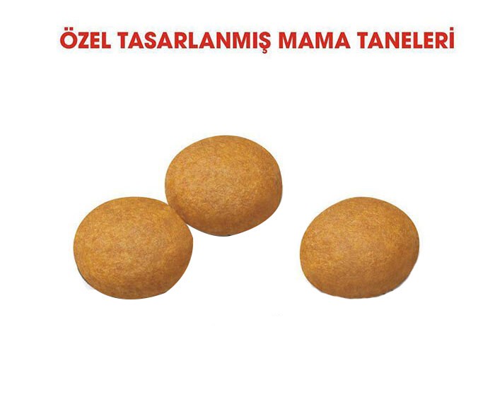 Royal Canin Adult Maxi Dermacomfort Yetişkin Köpek Maması 12 Kg