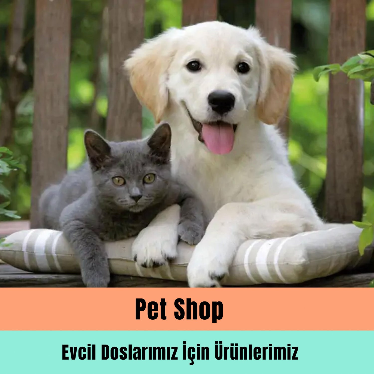 Pet Shop