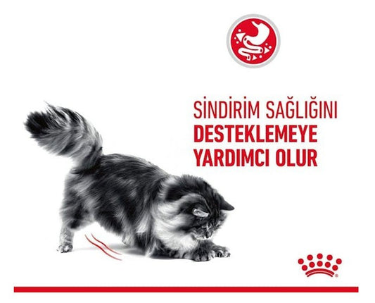 Royal Canin Fussy Exigent Seçici Yetişkin Kedi Maması 10 Kg