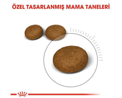 Royal Canin Hair Skin Deri ve Tüy Sağlığı için Kedi Maması 4 veya 10 Kg