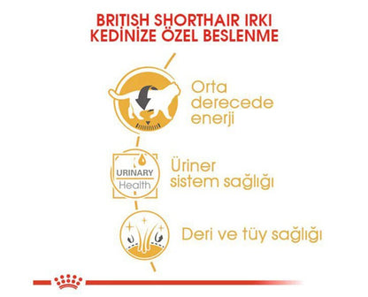 Royal Canin British Shorthair Adult Pouch Konserve Kedi Maması 85 Gr