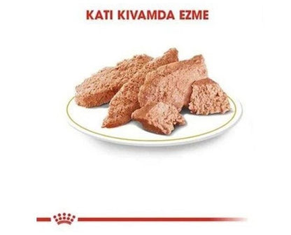 Royal Canin Persian Adult İran Kedisi Pouch Konserve Kedi Maması 85 Gr