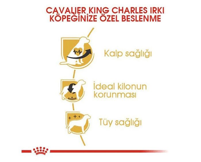 Royal Canin Cavalier King Charles Yetişkin Köpek Maması 1.5 Kg