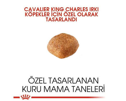 Royal Canin Cavalier King Charles Yetişkin Köpek Maması 1.5 Kg
